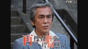 再捜査刑事・片岡悠介 kép