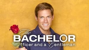 The Bachelor kép