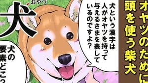 世界の終わりに柴犬と 1. évad Ep.58 58. epizód