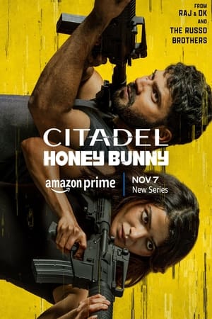 Citadel: Honey Bunny poszter