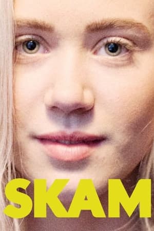 SKAM poszter