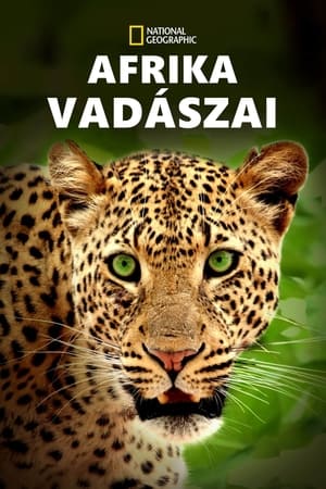 Afrika vadászai