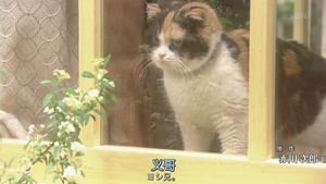 三毛猫ホームズの推理 kép