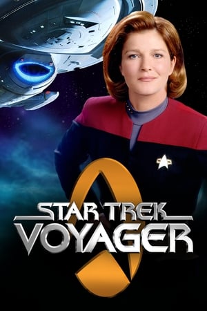 Star Trek: Voyager poszter