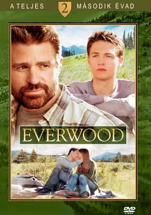 Everwood 2. évad (2003-09-15) poszter