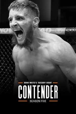 Dana White's Tuesday Night Contender Series 5. évad (2021-09-01) poszter