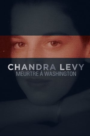 Chandra Levy: An American Murder Mystery poszter