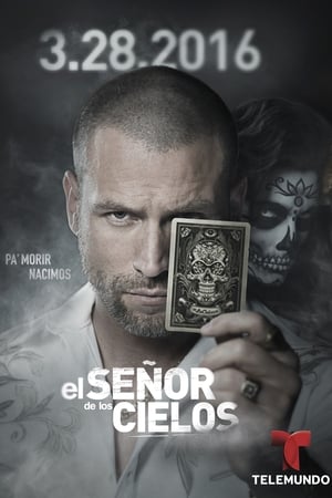 El señor de los cielos poszter