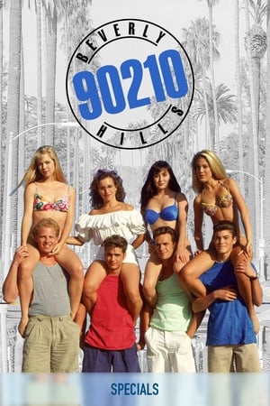 Beverly Hills, 90210 Speciális epizódok (1993-05-26) poszter