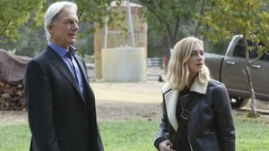 NCIS 13. évad Ep.10 Testvérek