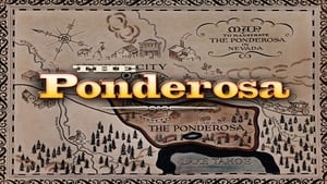 Ponderosa kép