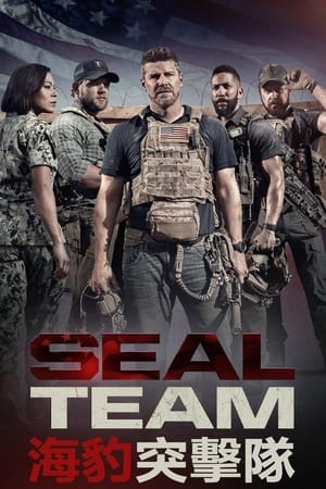 SEAL Team poszter