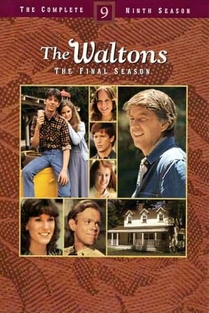 The Waltons 9. évad (1980-11-20) poszter