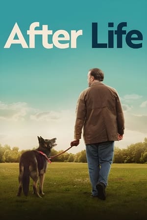 After Life - Mögöttem az élet poszter