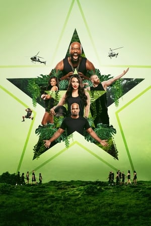 The Challenge: All Stars poszter