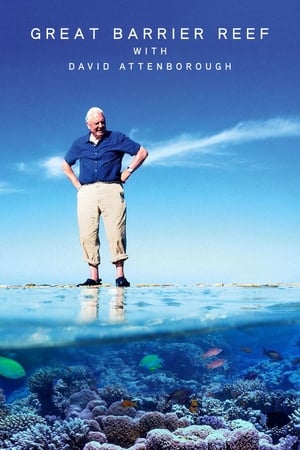 David Attenborough: A Nagy-korallzátony poszter