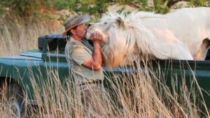 The Lion Man: African Safari kép