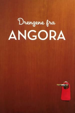 Drengene fra Angora poszter