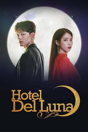 Hotel Del Luna poszter