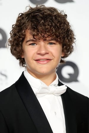 Gaten Matarazzo profil kép