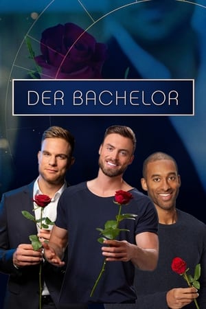 Der Bachelor poszter