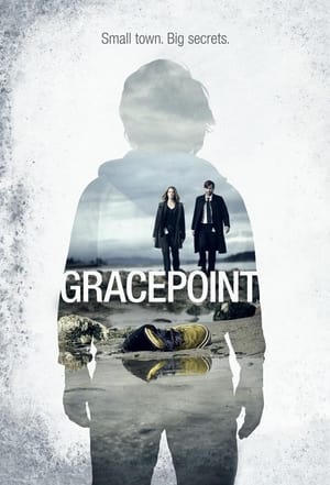 Gracepoint poszter