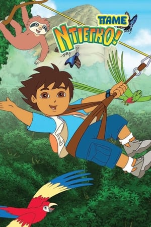 Go, Diego, Go! poszter