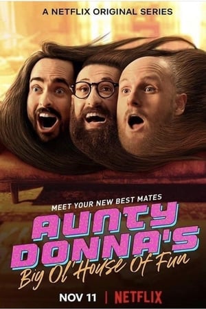 Aunty Donna: A móka háza 1. évad (2020-11-11) poszter