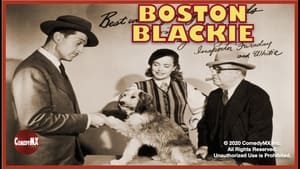 The Adventures of Boston Blackie kép