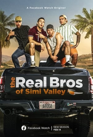 The Real Bros of Simi Valley 1. évad (2017-04-10) poszter