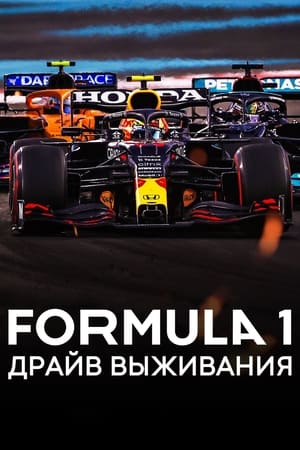 Formula 1: Hajsza a túlélésért poszter