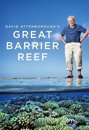 David Attenborough: A Nagy-korallzátony poszter