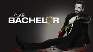 The Bachelor kép