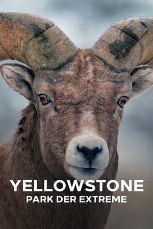 Epic Yellowstone 1. évad (2019-03-10) poszter