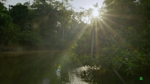 Expedíciók Steve Backshall-el 1. évad Ep.5 5. epizód