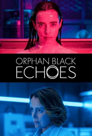 Orphan Black: Echoes poszter