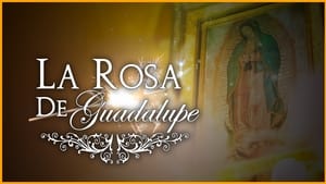 La rosa de Guadalupe kép