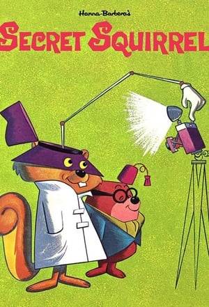 The Secret Squirrel Show poszter