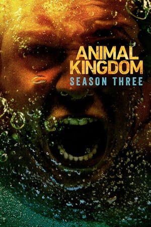 Animal Kingdom 3. évad (2018-05-29) poszter