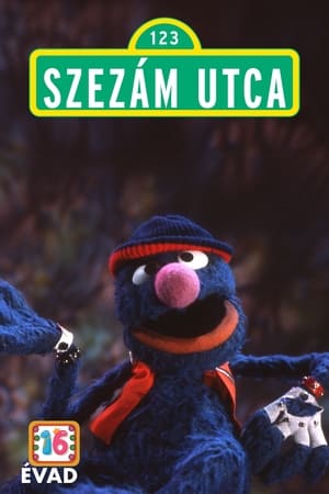 Szezám utca 16. évad (1984-11-19) poszter