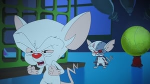 Animaniacs 1. évad Ep.28 28. epizód