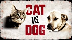 Cat vs. Dog kép