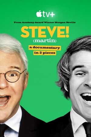 STEVE! (martin) dokumentumfilm 2 részben poszter