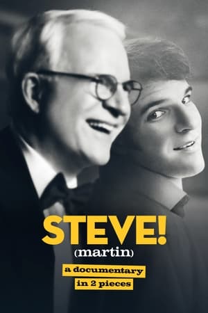 STEVE! (martin) dokumentumfilm 2 részben poszter