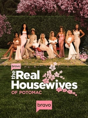 The Real Housewives of Potomac poszter