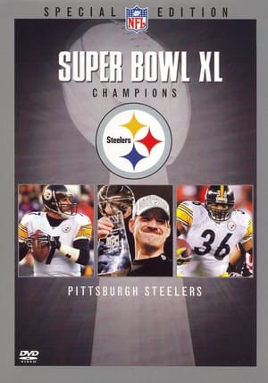 Pittsburgh Steelers 73. évad () poszter