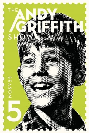 The Andy Griffith Show 5. évad (1964-09-21) poszter