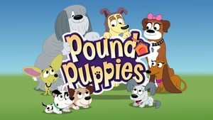 Pound Puppies kép