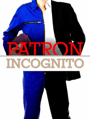 Patron incognito poszter