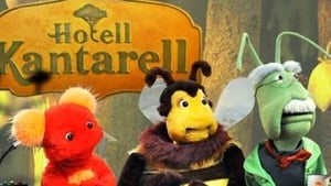 Hotell Kantarell kép